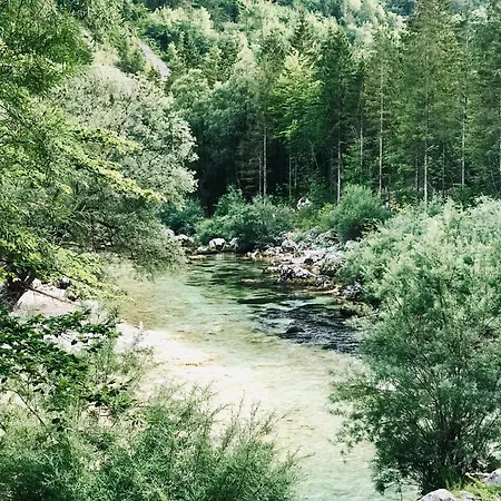 דירה Golf *
